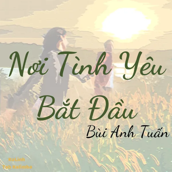 Nơi Tình Yêu Bắt Đầu - Cảm Âm Kalimba