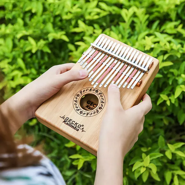 Thời điểm chín muồi chọn đàn Kalimba Gecko