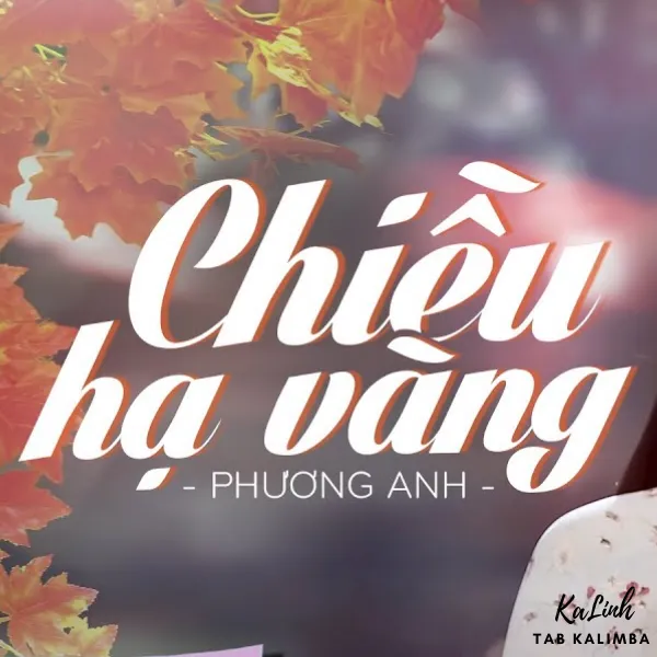 Chiều Hạ Vàng - Cảm Âm Kalimba