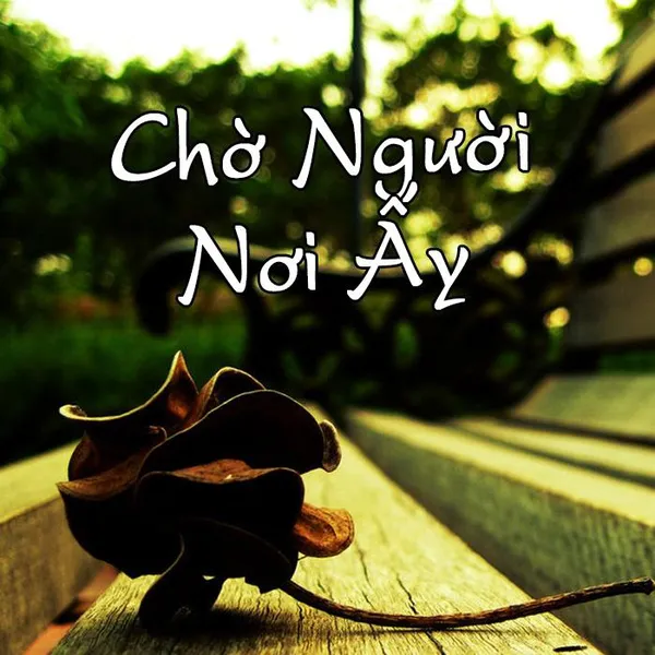 Chờ Người Nơi Ấy - Cảm Âm Kalimba