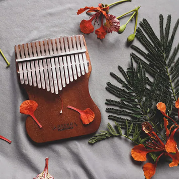 Tại sao bạn không nên bỏ qua Gecko Kalimba?