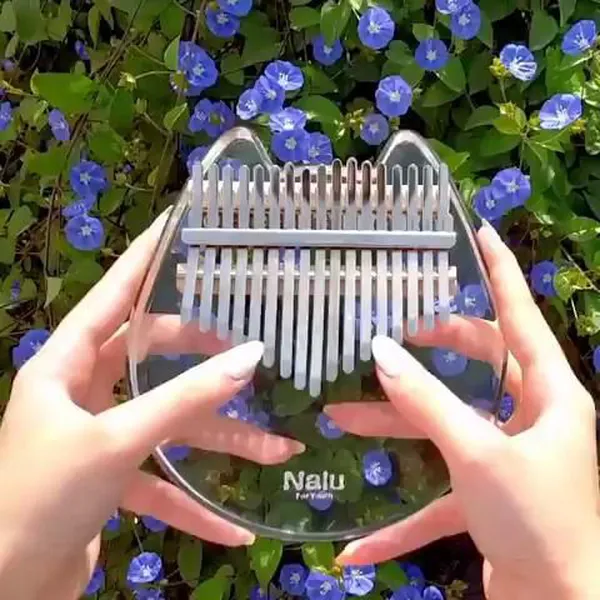 Làm thế nào Kalimba lại được sự chú ý của nhiều người ở mọi khu vực đến thế?