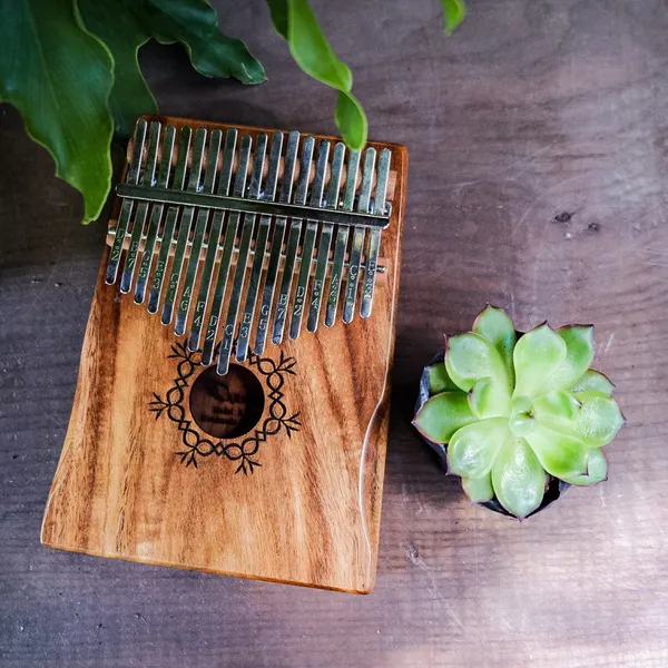 Tiêu chuẩn chọn đàn Kalimba phù hợp
