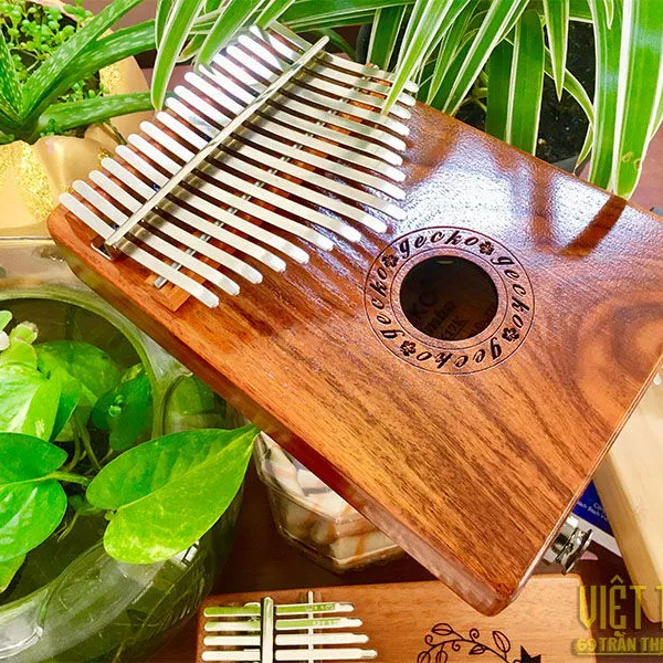 Soi đàn Gecko đến từng chi tiết