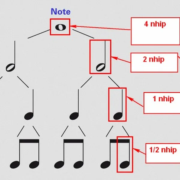 Cách đọc Kalimba Tab - các loại nốt trong tab