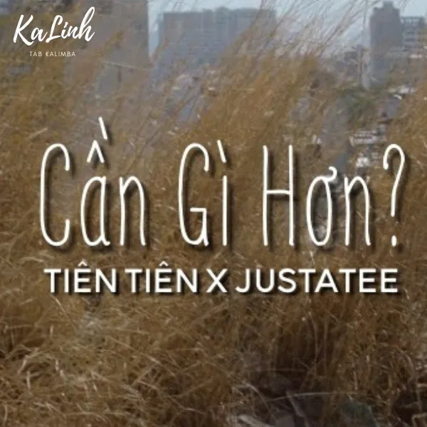 Cần Gì Hơn - Cảm Âm Kalimba