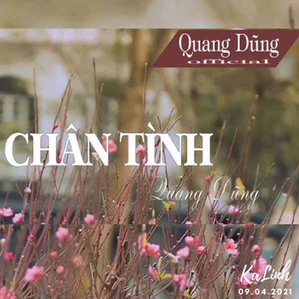 Chân Tình - Cảm Âm Kalimba