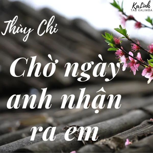 Chờ Ngày Anh Nhận Ra Em - Cảm Âm Kalimba