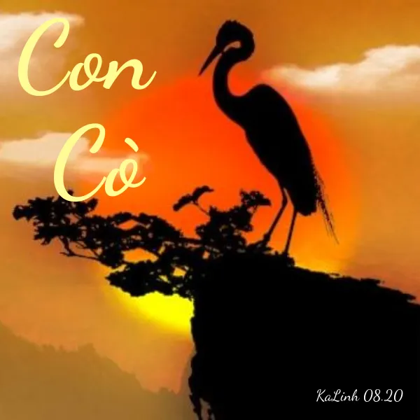 Con Cò - Cảm Âm Kalimba
