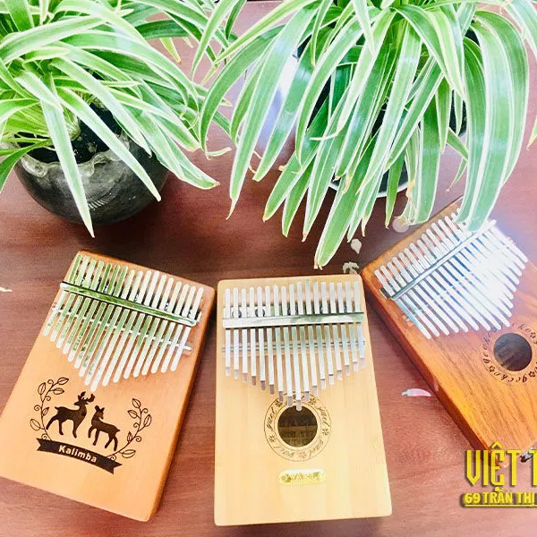 Các loại đàn kalimba phổ biến đáng mua
