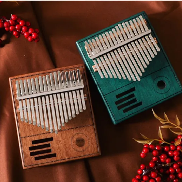 Điểm danh một số nhạc cụ nhỏ gọn dễ chơi nhất