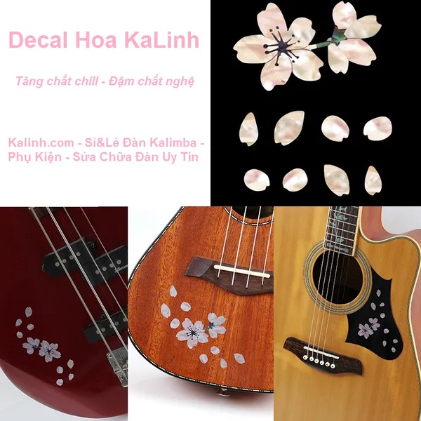 Decal Dán Đàn Kalimba