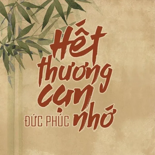 Hết Thương Cạn Nhớ - Cảm Âm Kalimba
