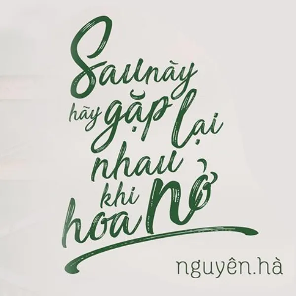 Sau Này Hãy Gặp Lại Nhau Khi Hoa Nở - Cảm Âm Kalimba