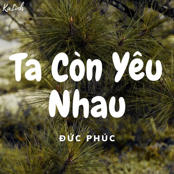 Ta Còn Yêu Nhau - Cảm Âm Kalimba