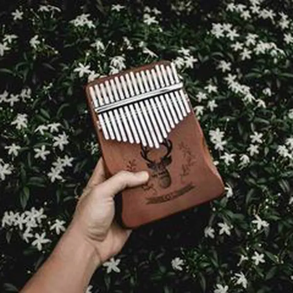 Những lối tắt bí mật của Kalimba mà nhiều người còn chưa biết đến