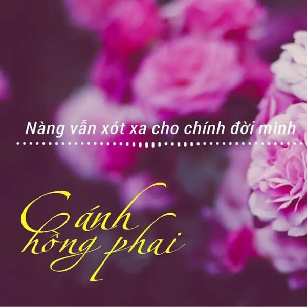 Cánh Hồng Phai - Cảm Âm Kalimba