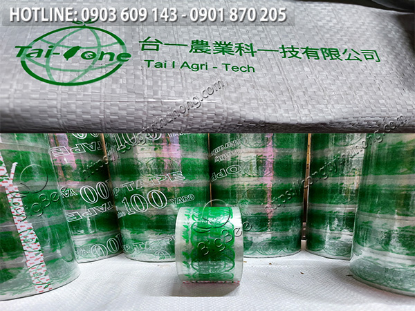 băng keo giá rẻ in logo 1