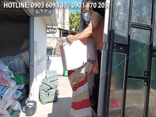 băng keo màu giá rẻ quận 11