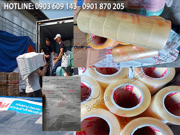 xuất băng keo trong 2kg giá sỉ rẻ 1