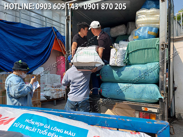 băng keo trong 2kg giá sỉ rẻ 3