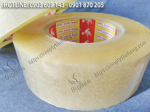 băng keo trong cuộn lớn