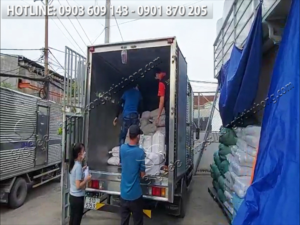 băng keo trong giá rẻ chất lượng 1