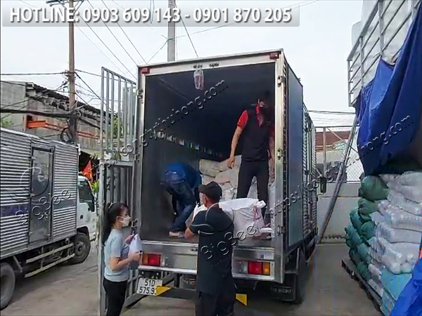 băng keo trong giá rẻ chất lượng 2