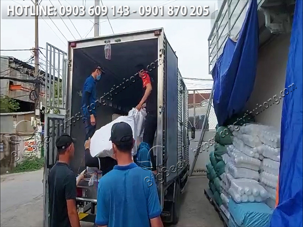 băng keo trong giá rẻ chất lượng 3