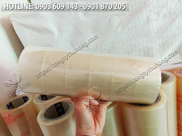 Cây băng keo trong 100y sử dụng nhiều nhất hiện nay Cây băng keo trong 100y sử dụng nhiều nhất hiện nay