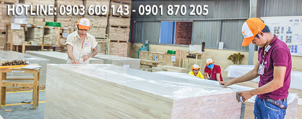 Băng keo trong dán hàng cho nhà xưởng