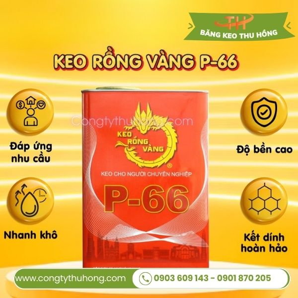 Keo rồng vàng P-66 Kết dính hoàn hảo, nhanh khô Keo rồng vàng P-66 Kết dính hoàn hảo, nhanh khô