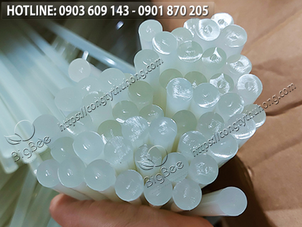 Chi tiết phần đầu cây keo nến trắng ngà Chi tiết phần đầu cây keo nến trắng ngà