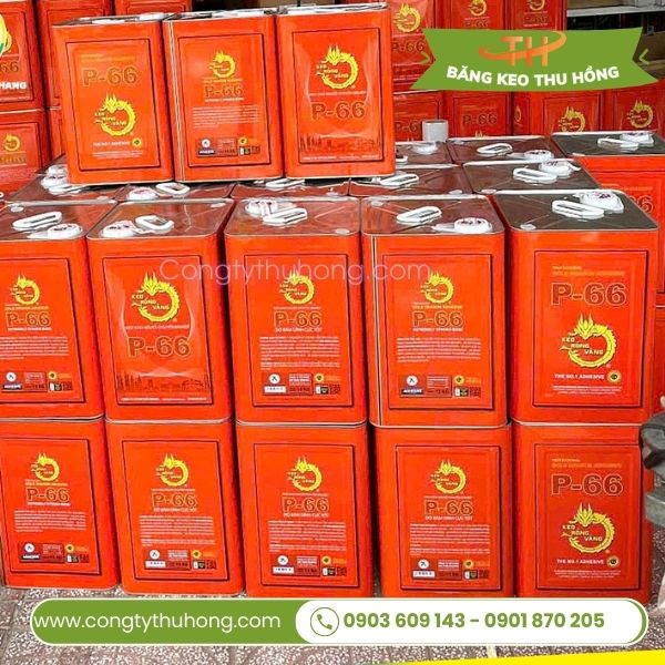 Địa chỉ cung cấp keo Rồng vàng P66 chính hãng giá tốt Địa chỉ cung cấp keo Rồng vàng P66 chính hãng giá tốt