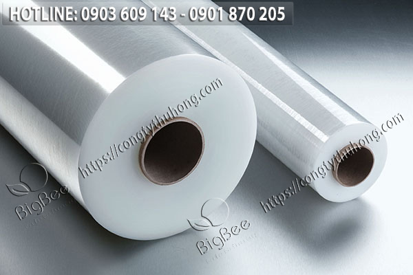 Màng bọc thực phẩm các cỡ giá tốt