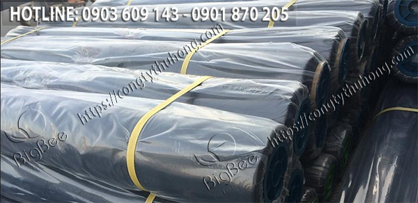 Màng phủ nông nghiệp trồng rau