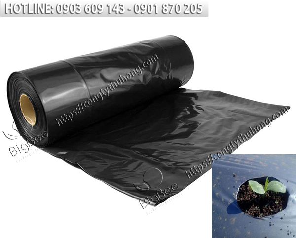 Màng phủ trồng rau củ quả