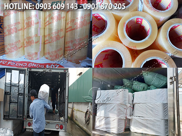 sỉ băng keo trong 200 yard giá rẻ 2