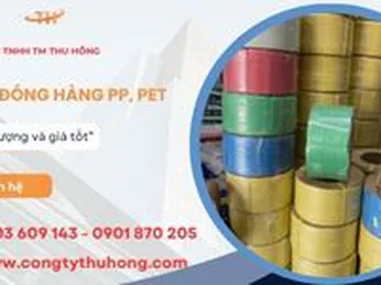 Cung cấp Dây đai nhựa PP, PET giá rẻ chịu lực mạnh mẽ đủ size đủ màu