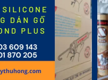 Keo silicone dùng dán kết dính gỗ X'Bond Plus