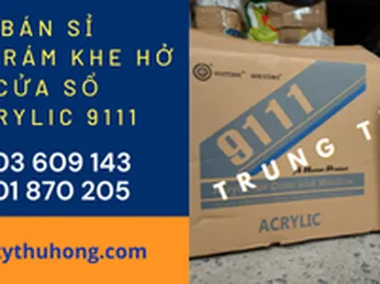 Bán sỉ keo trám khe hở cửa sổ trung tính acrylic 9111