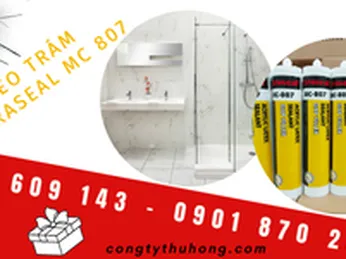 Keo trám chống thấm, chống bám rêu nội thất phòng tắm X'Traseal MC 807