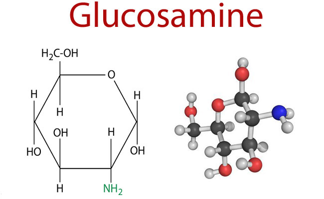 Glucosamine sulfate trong điều trị xương khớp