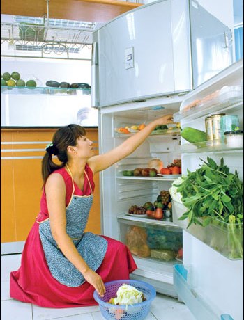 Hướng dẫn Sử dụng  Tủ lạnh đúng cách và hiệu quả.