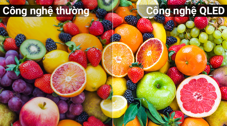 Màn hình tivi QLED  trên Tivi QLED Samsung QA49Q6FN Màn hình tivi QLED  trên Tivi QLED Samsung QA49Q6FN