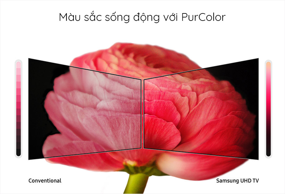 Smart TV 4K UHD Samsung 55 inch 55RU7200 màu sắc sống động với Purcolor