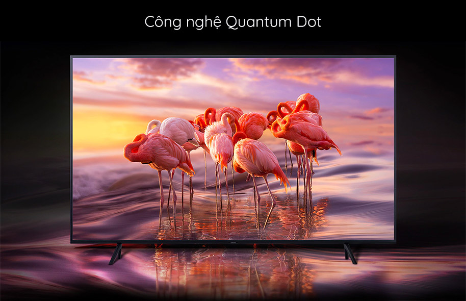 Smart TV 4K Samsung 43 inch 43Q65RA sử dụng Công nghệ Quantum Dot