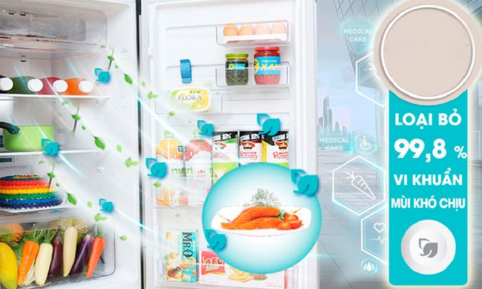 TỦ LẠNH ELECTROLUX 350 LÍT ETB3700H-A - Diệt trừ vi khuẩn, loại bỏ mùi hôi