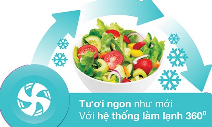 TỦ LẠNH ELECTROLUX 350 LÍT ETB3700H-H - Nhiệt độ ổn định, thực phẩm tươi ngon