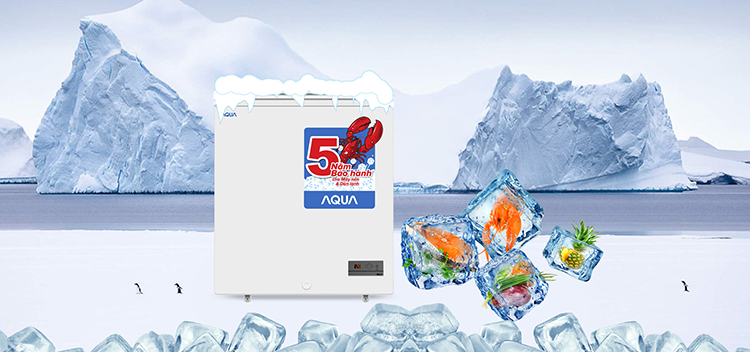 Tủ Đông Aqua AQF-C680 (478L) - Hàng Chính Hãng